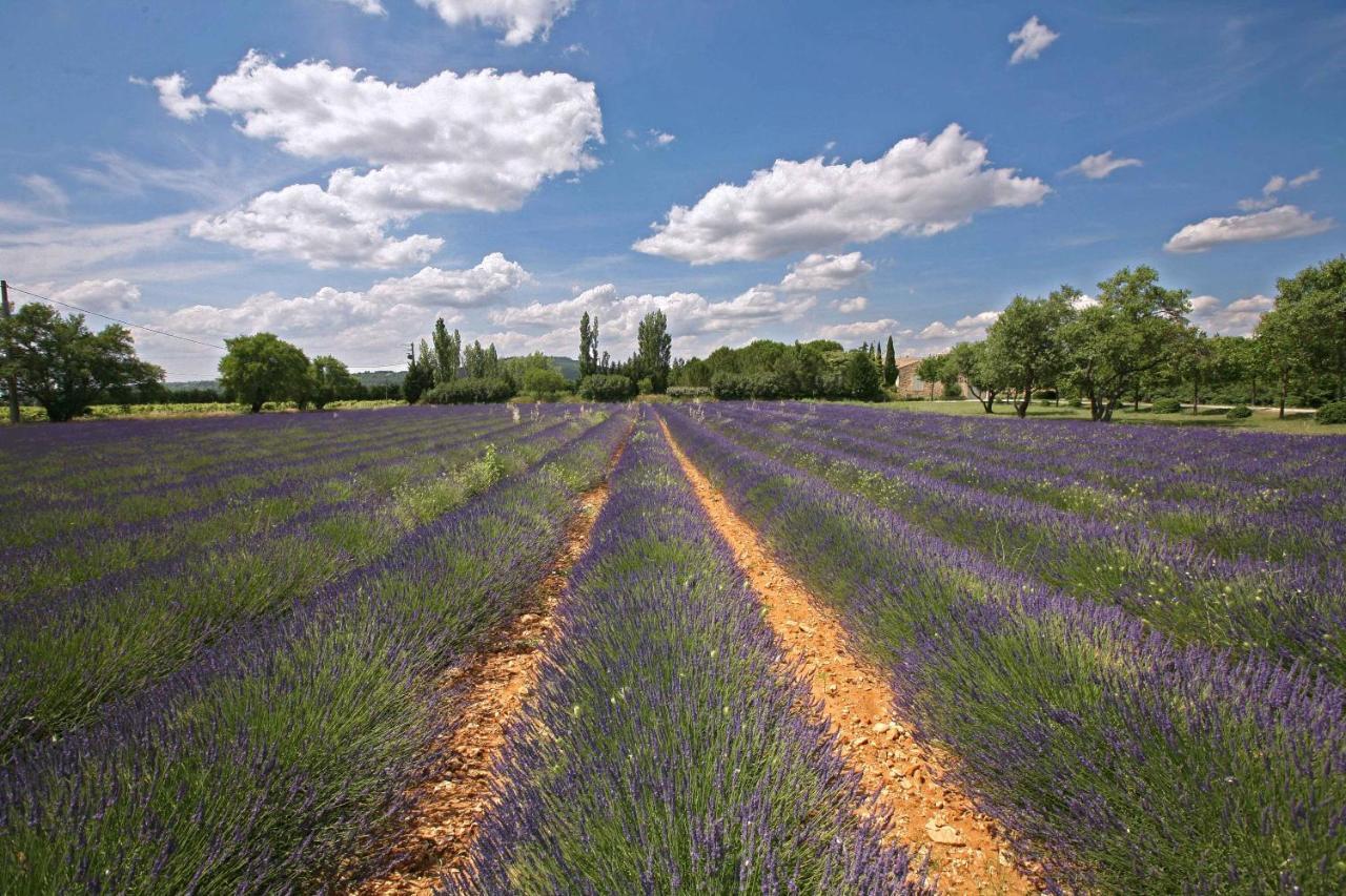 Gites Dans Mas En Pierres Robion en Luberon Exterior photo